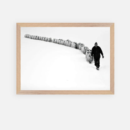 Shepherd walking through snow with sheep in a vintage framed black-and-white photograph, showcasing tradition.