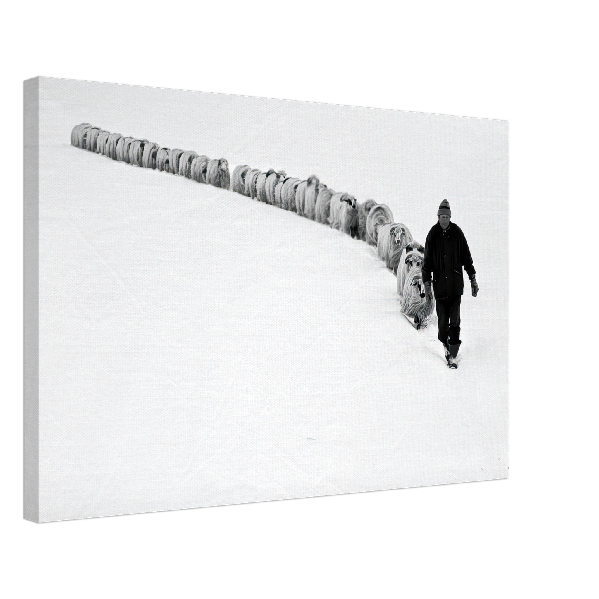 Black-and-white canvas print of a shepherd walking with his flock in a snow-covered landscape.