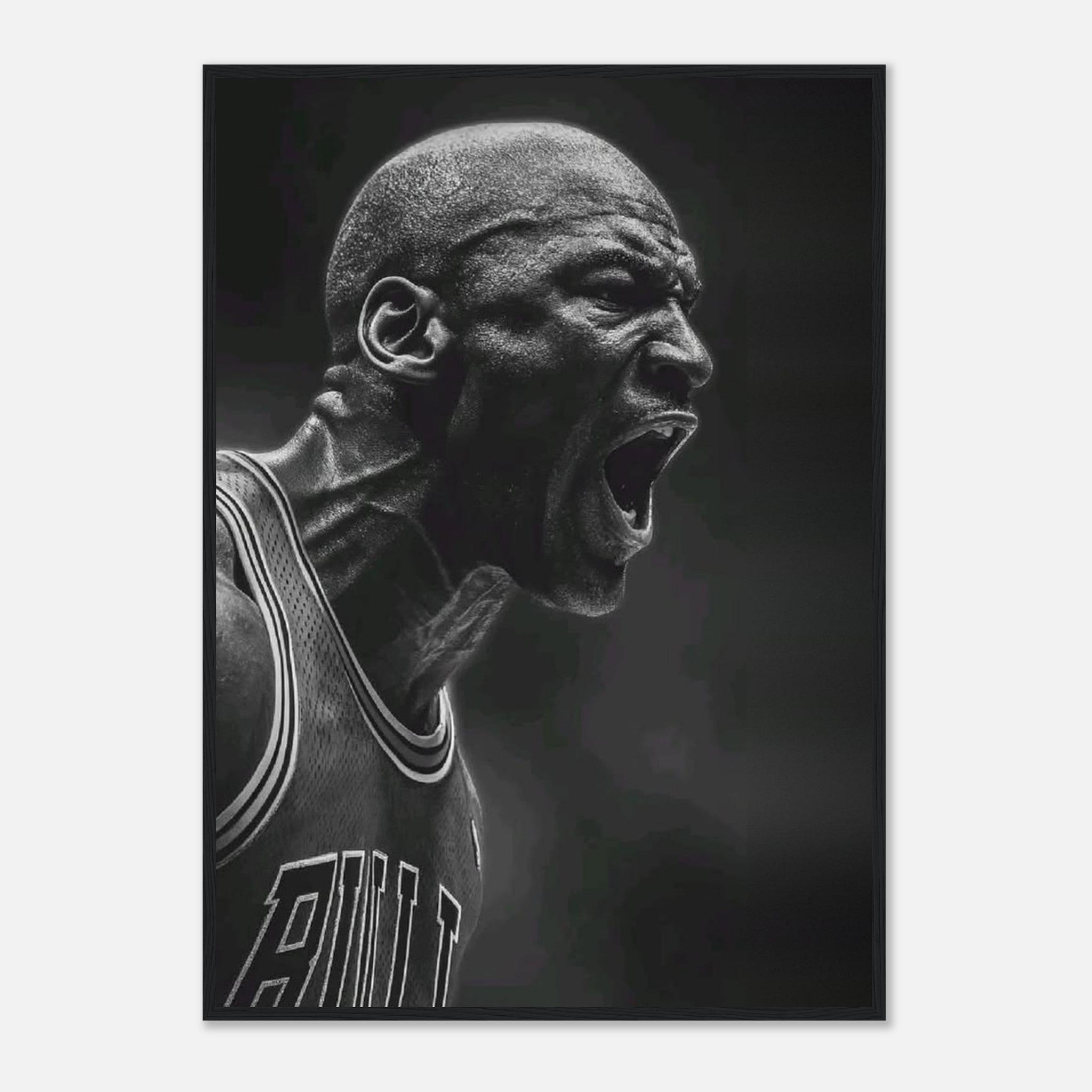 Michael Jordan Chicago Bulls