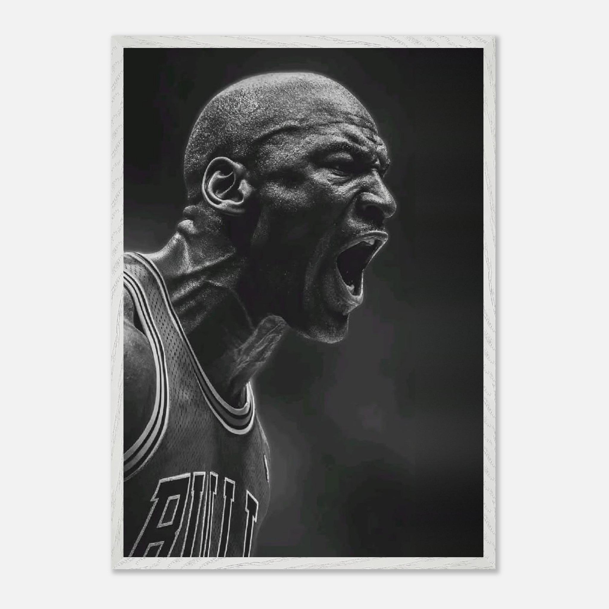 Michael Jordan Chicago Bulls