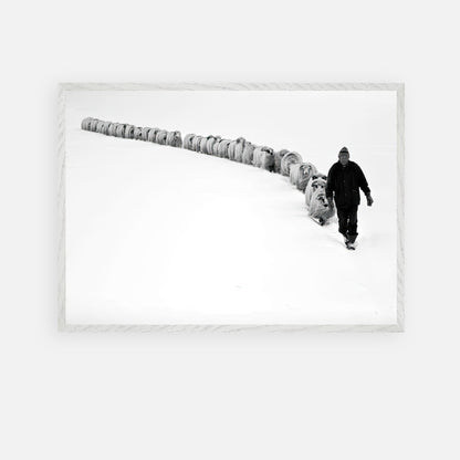 Black-and-white fine art print featuring a shepherd leading his flock through a snowy landscape, symbolizing resilience.