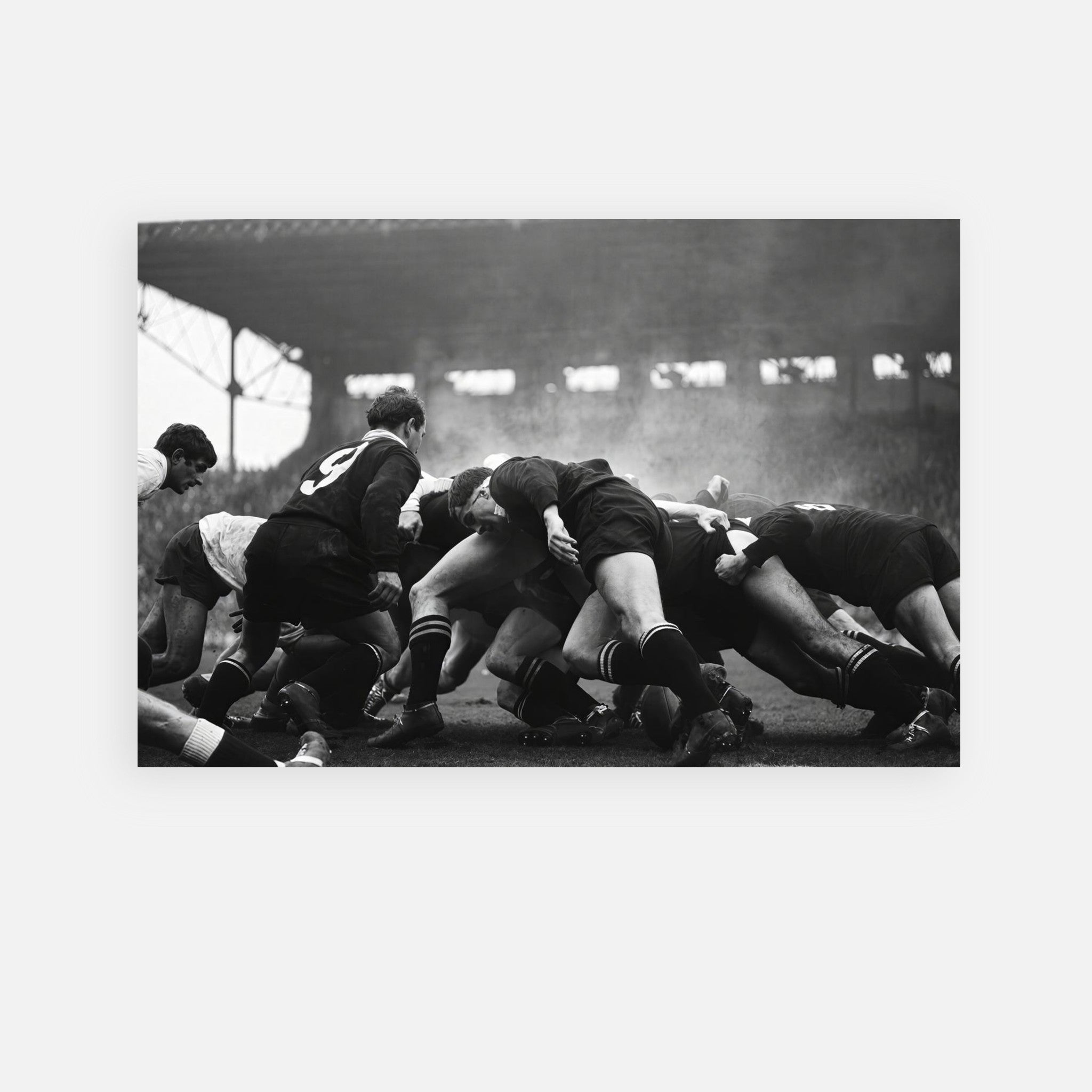 France vs New Zealand Rugby 1967