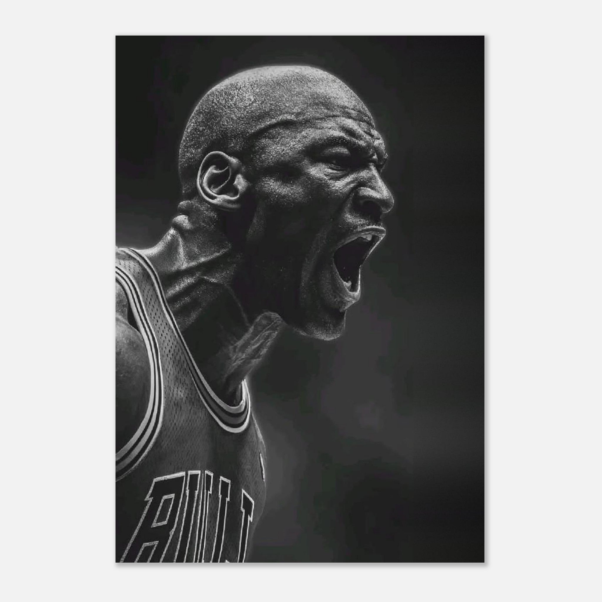 Michael Jordan Chicago Bulls