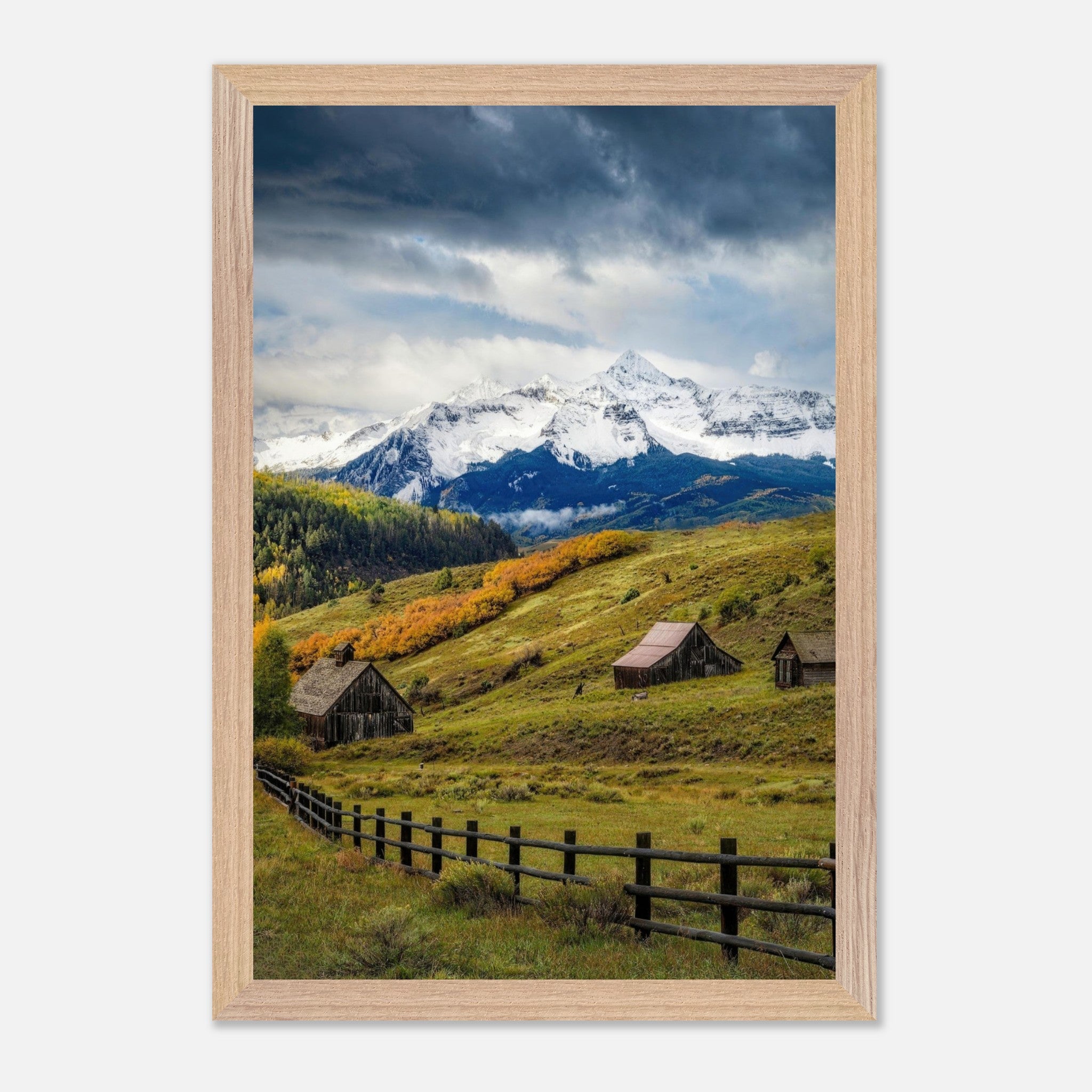 Framed Giclée fine art print of Telluride, Colorado featuring rustic barns and snow-capped mountains in a scenic landscape.