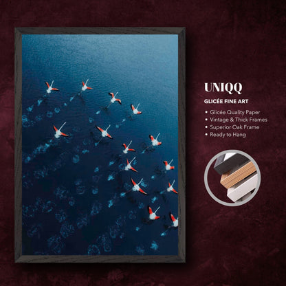Flamingos drone photography fine art print, showcasing vibrant birds in azure waters, framed for museum-quality display.