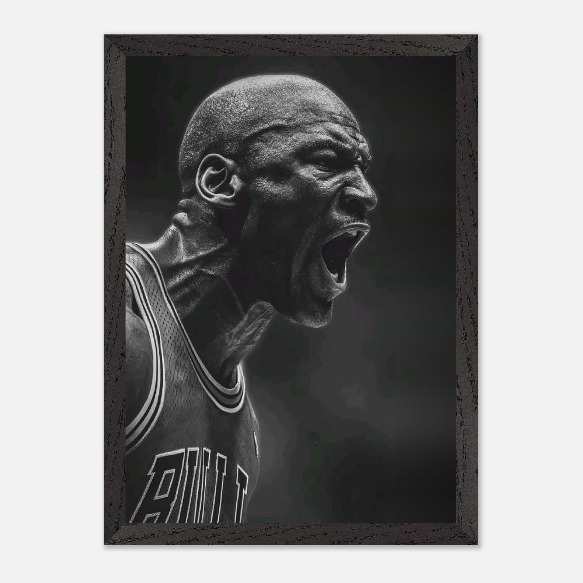 Michael Jordan Chicago Bulls