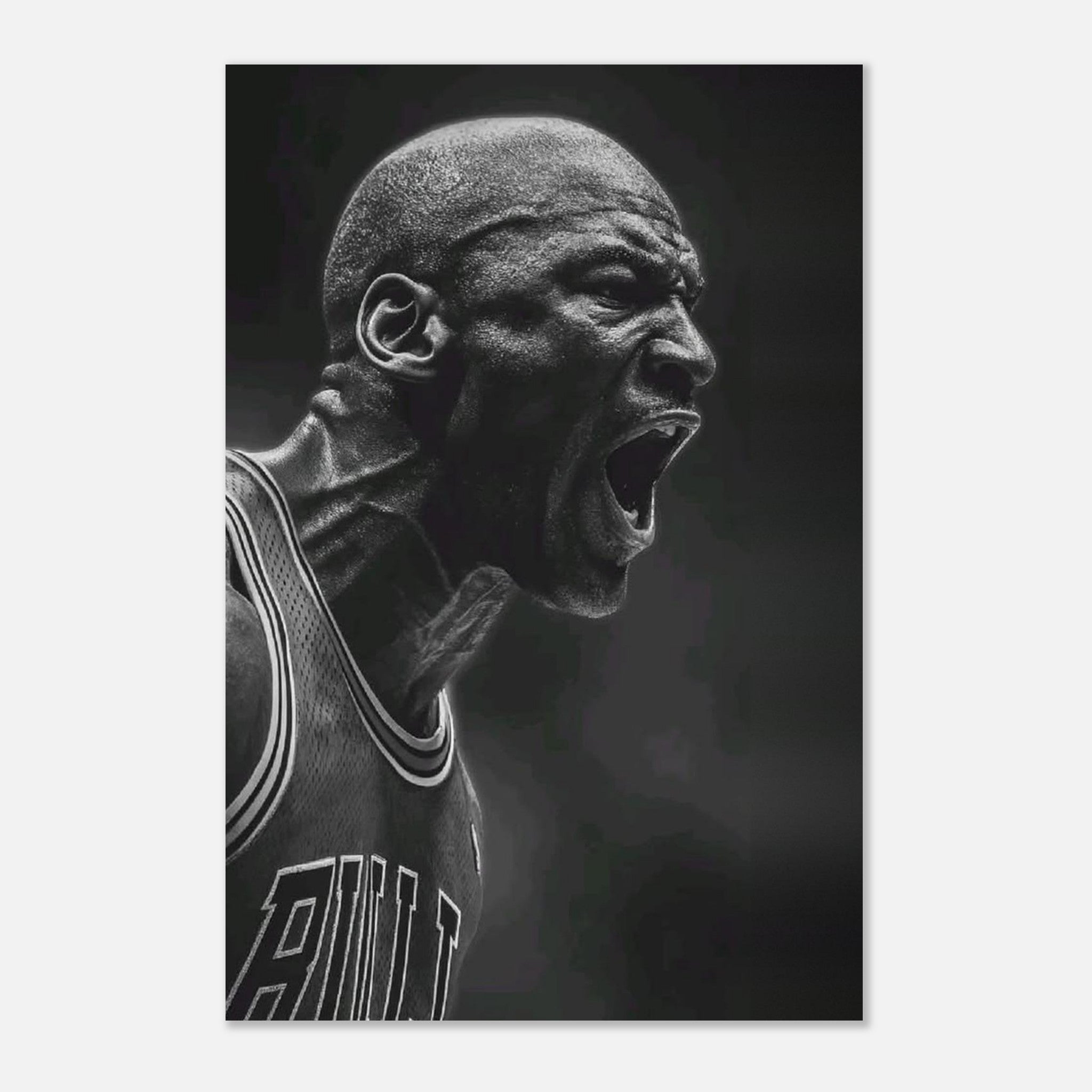Michael Jordan Chicago Bulls
