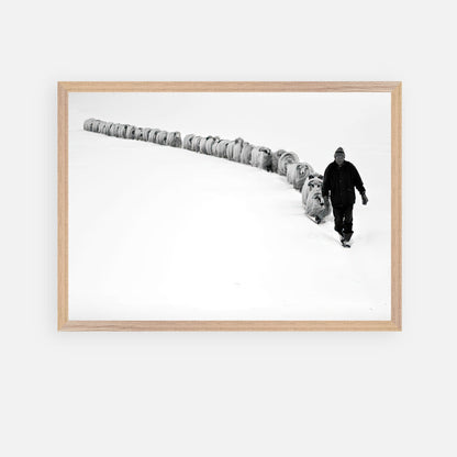 A shepherd guiding sheep through a snowy landscape in a vintage framed art photograph.