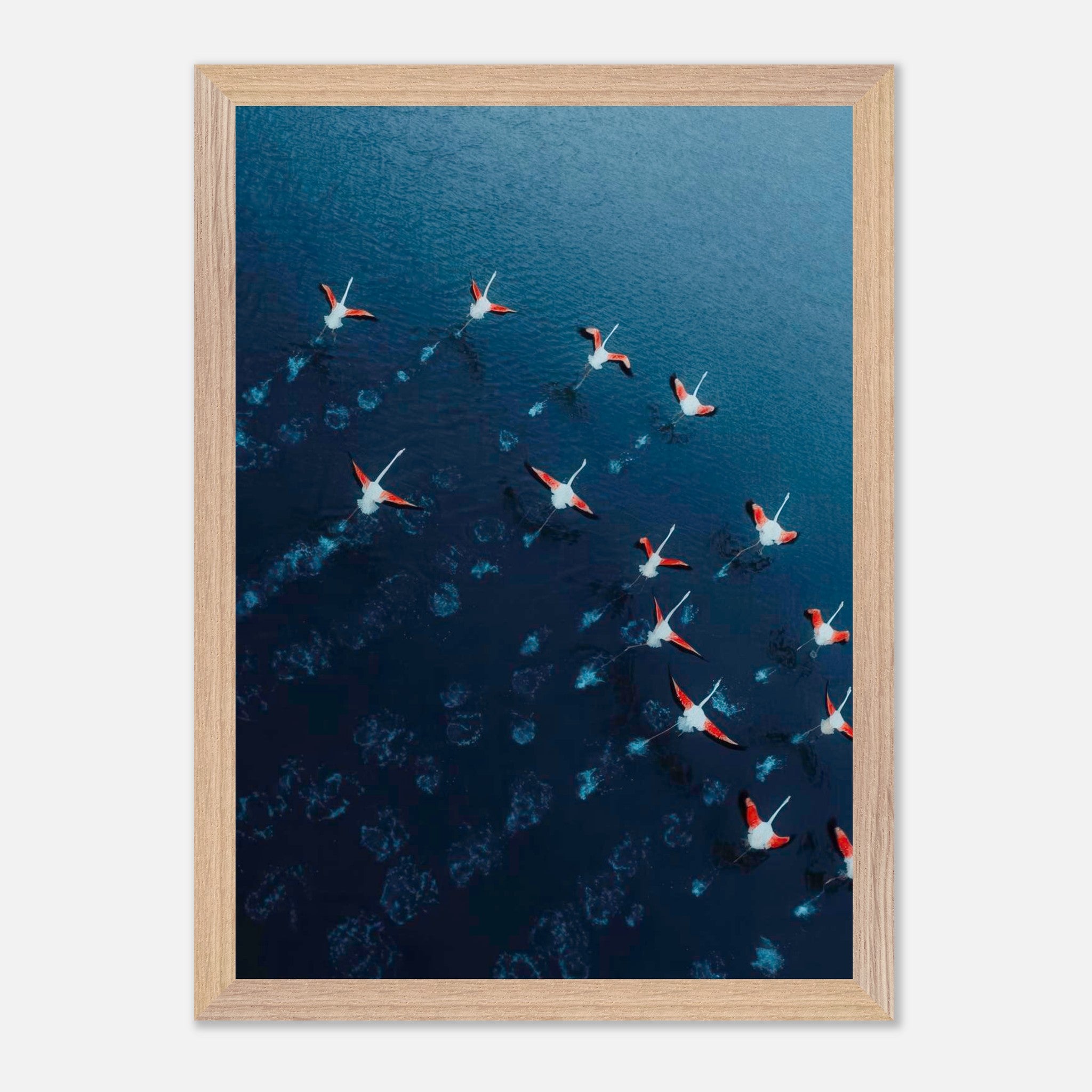Aerial view of a flock of flamingos flying over deep blue water in a vintage framed print.