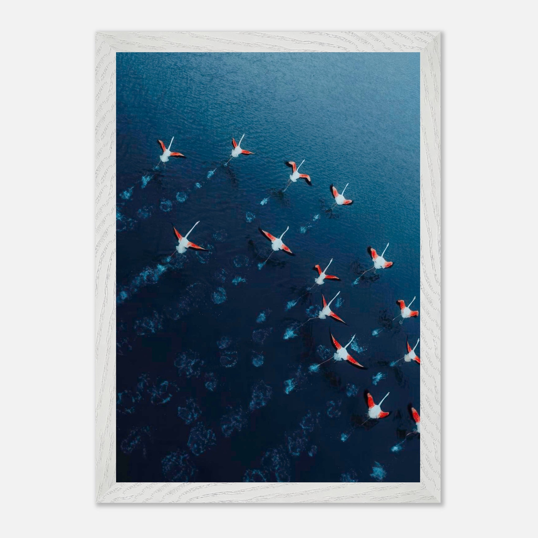 Aerial view of a flock of flamingos in flight over deep blue waters in a vintage framed print.