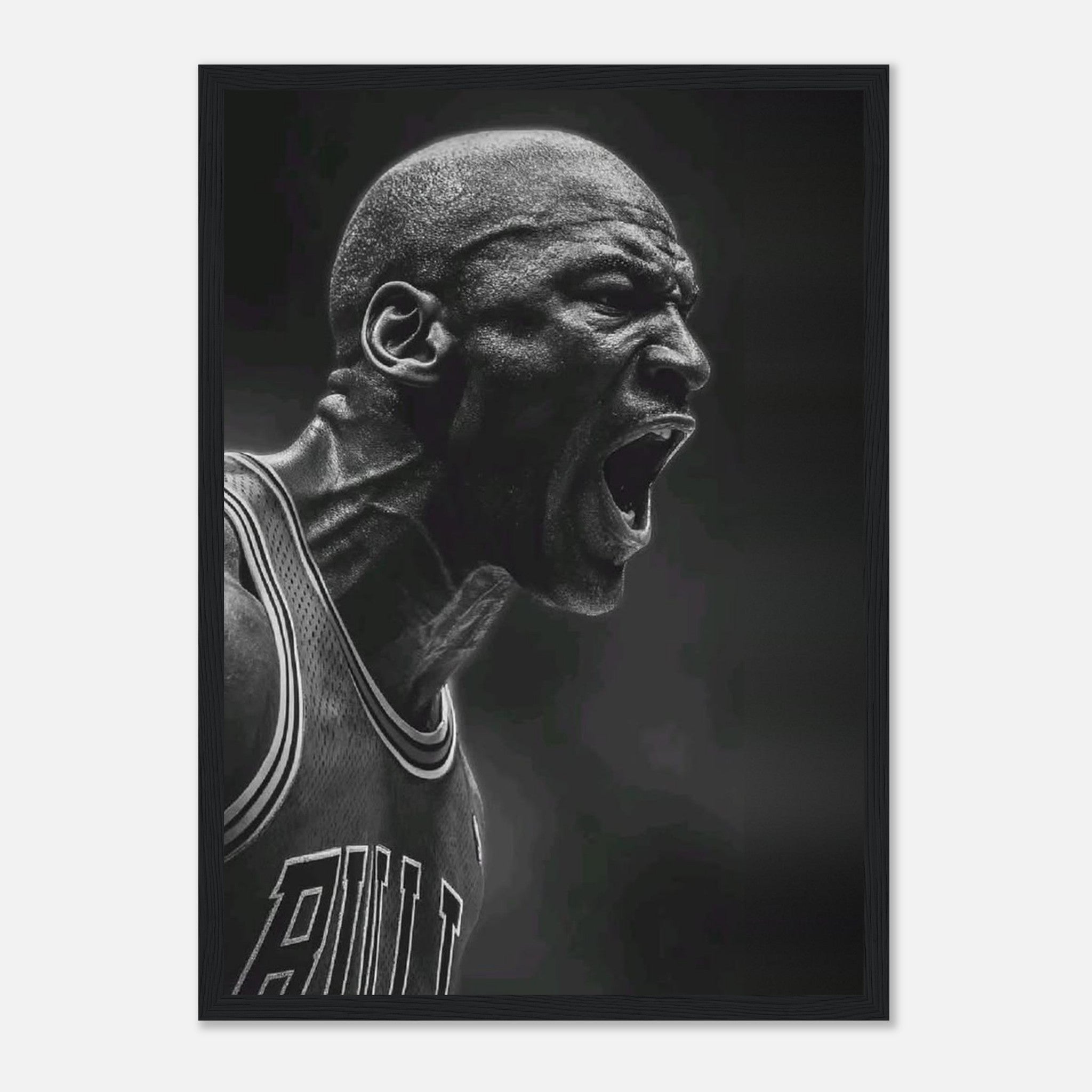 Michael Jordan Chicago Bulls