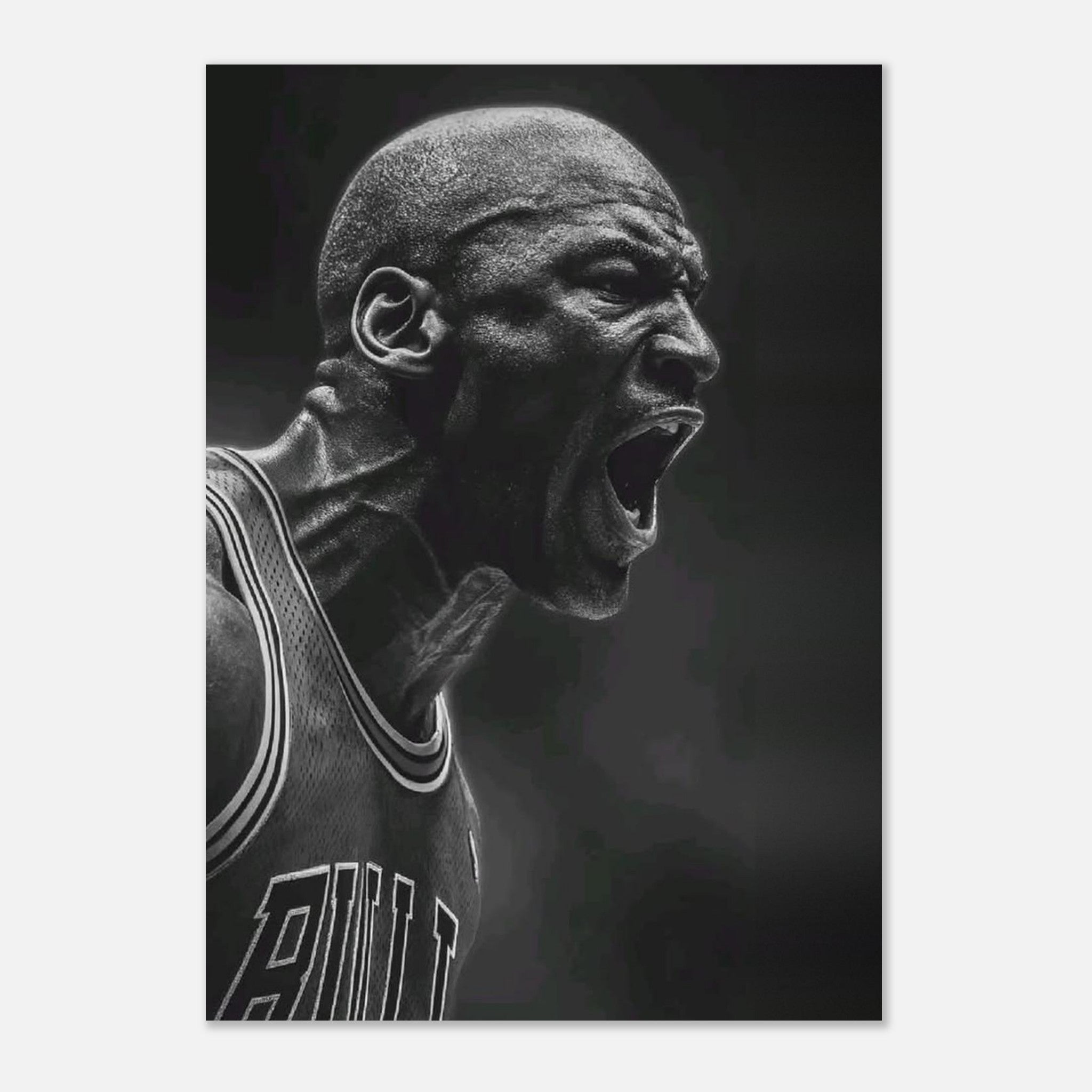 Michael Jordan Chicago Bulls
