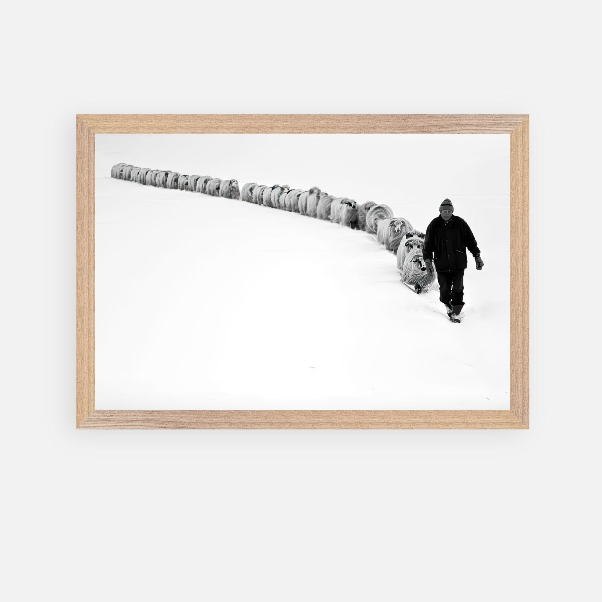 The Shepherd's Trail fine art print featuring a shepherd guiding his flock in a snowy landscape.