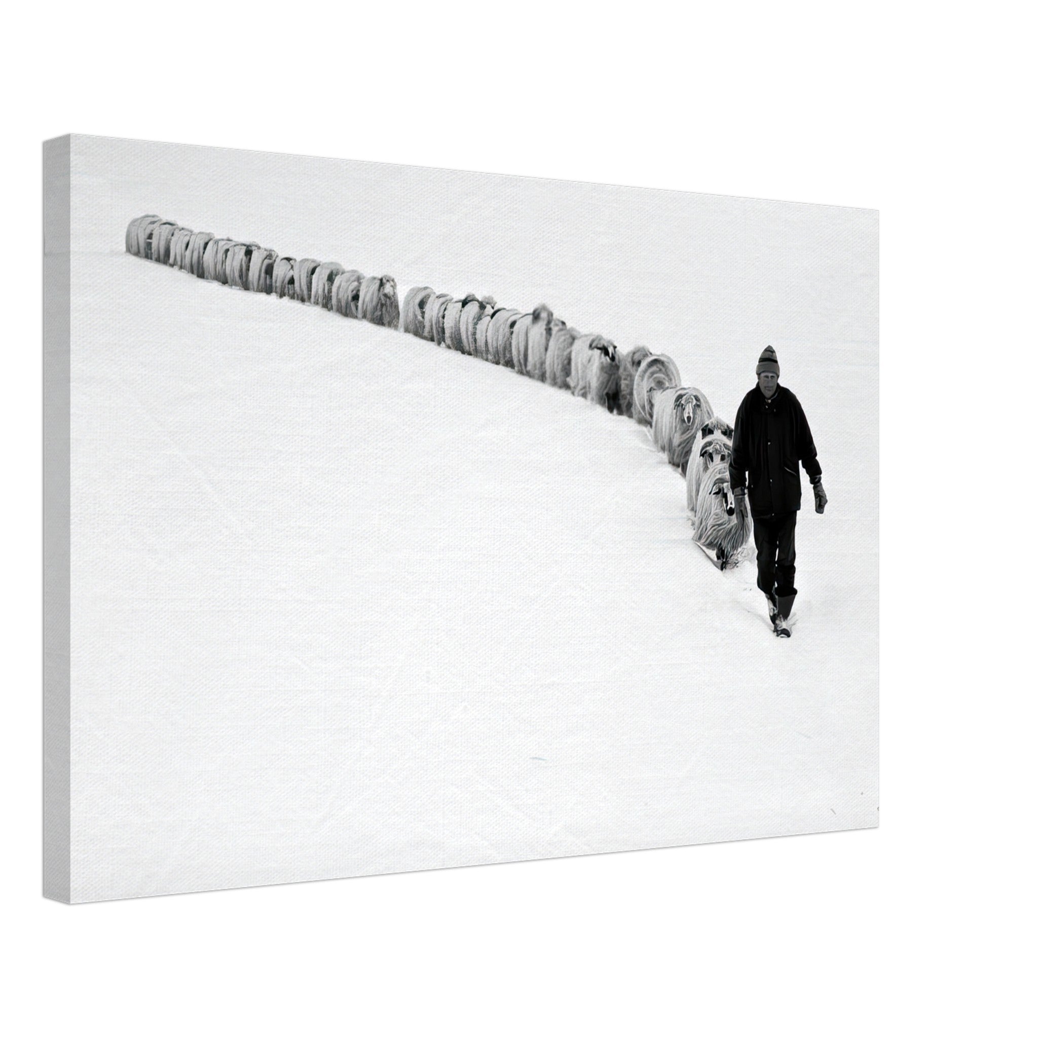 Shepherd walking a flock of sheep in a serene, snow-covered landscape in black-and-white canvas print.