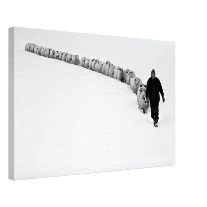 Shepherd walking a flock of sheep in a serene, snow-covered landscape in black-and-white canvas print.