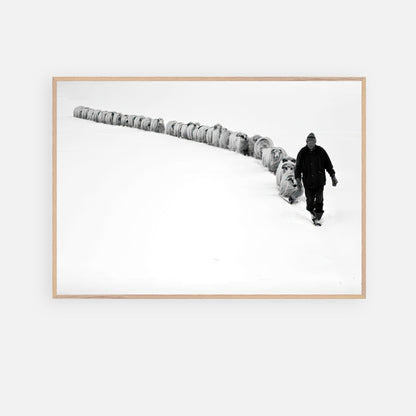 Black-and-white fine art print of a shepherd walking his flock through a snowy landscape, embodying resilience and tradition.