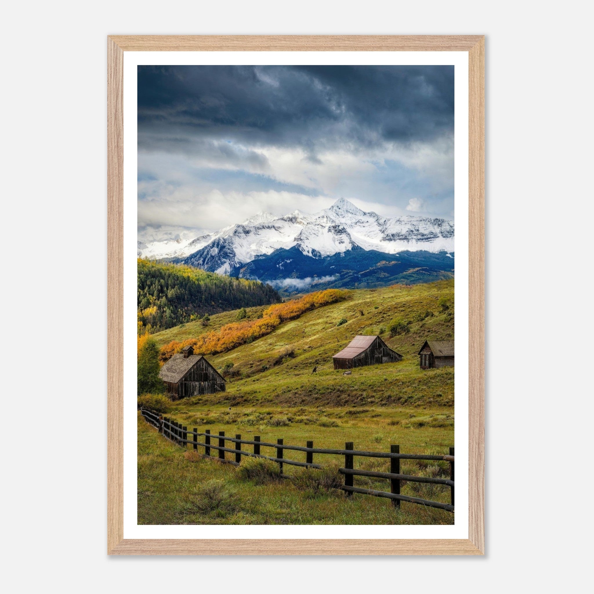 Framed Giclée fine art print of Telluride, Colorado showcasing rustic barns and snow-capped peaks in a vibrant landscape.