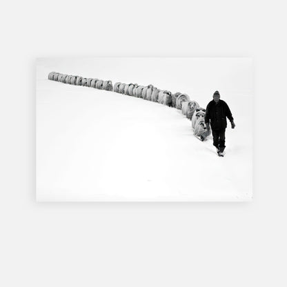 Black-and-white metal print of a shepherd guiding a flock through a snowy landscape, symbolizing unity and resilience.