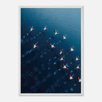 Aerial view of flamingos gliding over deep azure waters, showcasing vibrant pink and red hues in fine art photography.