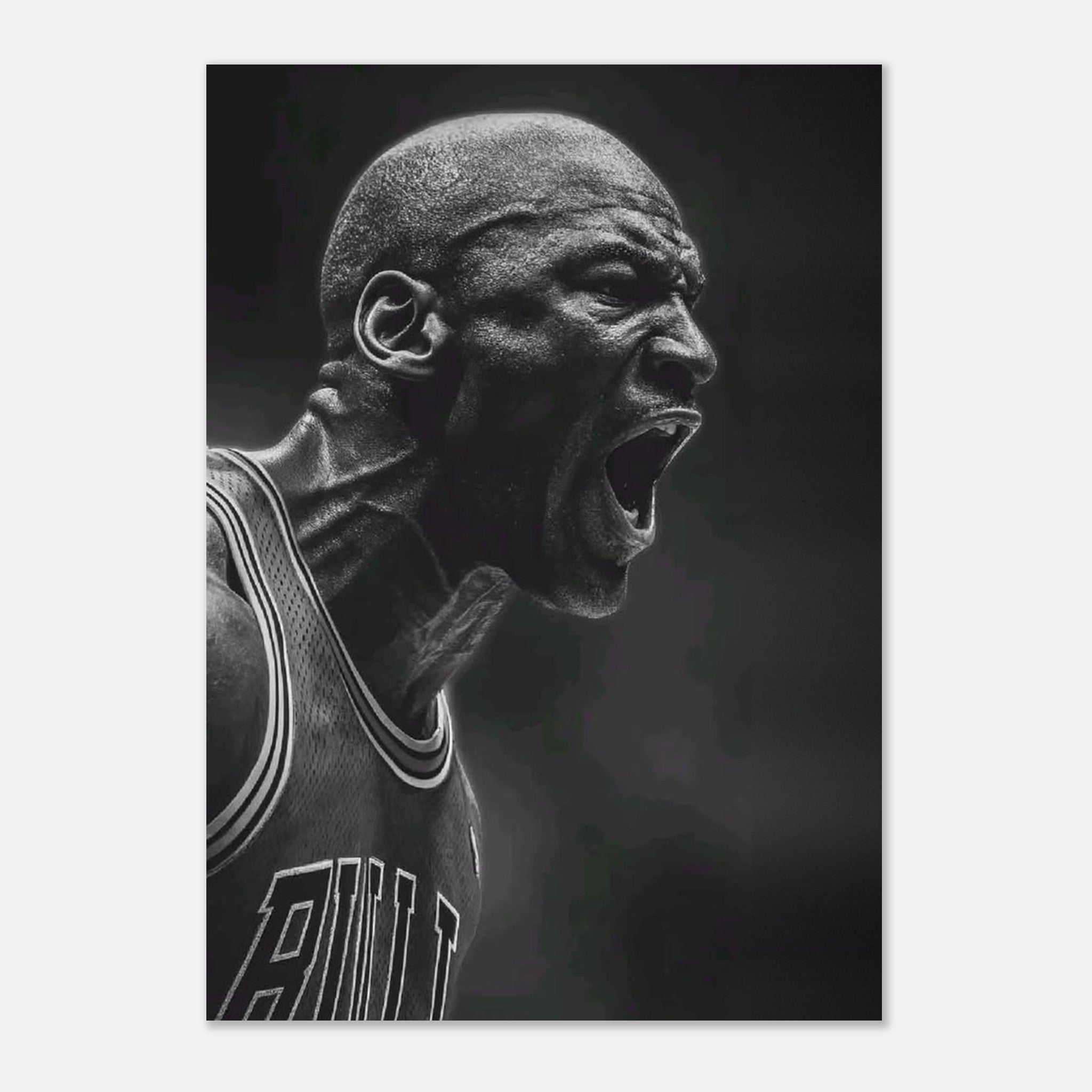 Michael Jordan Chicago Bulls
