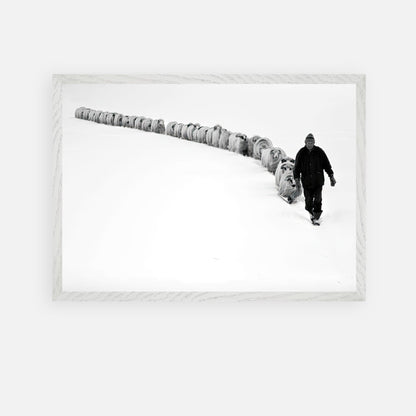 Black-and-white fine art print of a shepherd guiding a flock through a snowy landscape, symbolizing resilience and tradition.