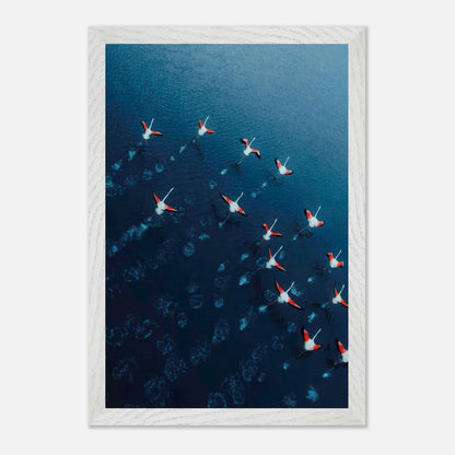 Aerial view of flamingos in motion above deep blue waters, showcasing their vibrant pink and red hues.