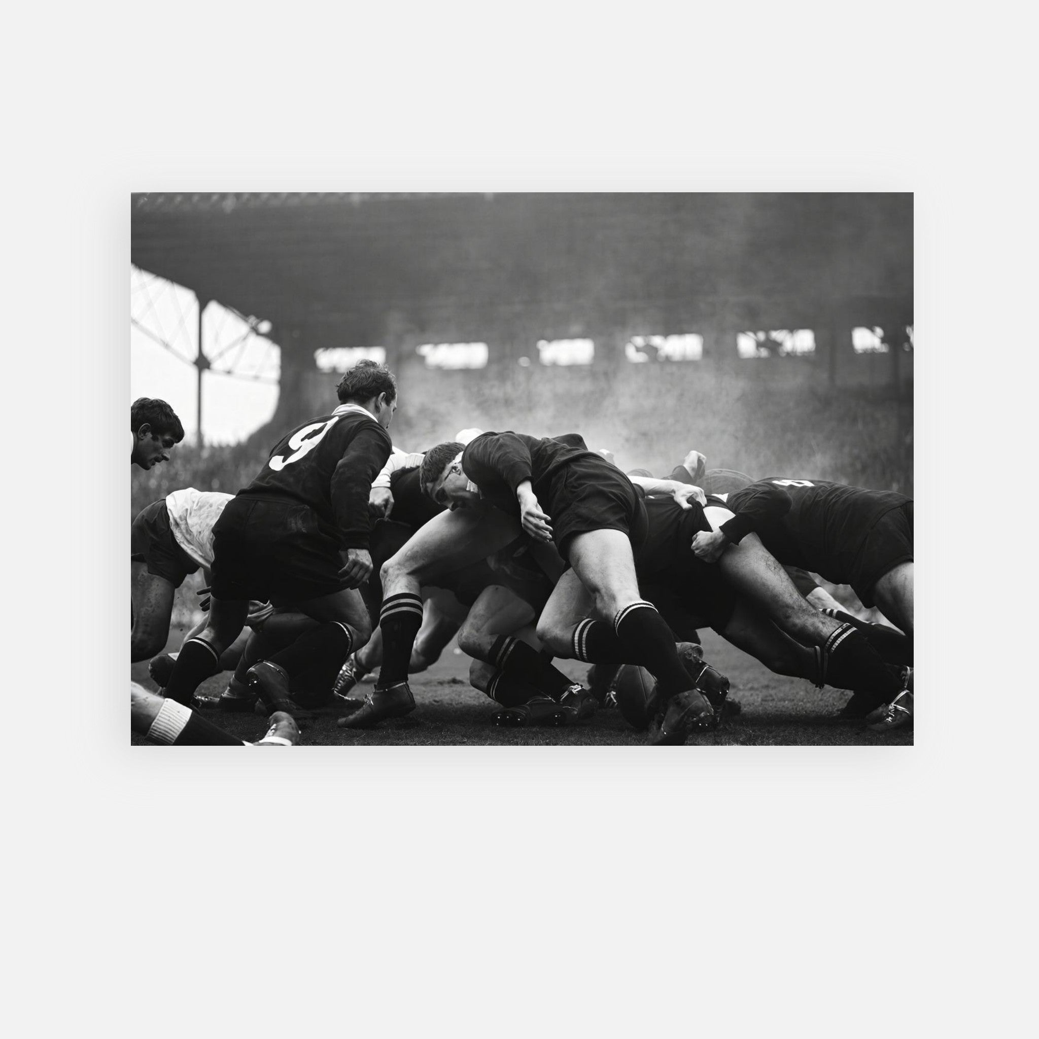 France vs New Zealand Rugby 1967