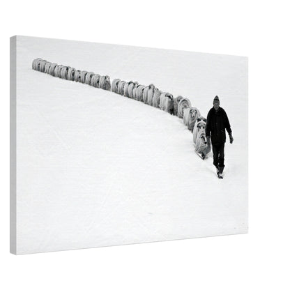 Black-and-white canvas print of a shepherd leading sheep across a snowy landscape, embodying tradition and resilience.