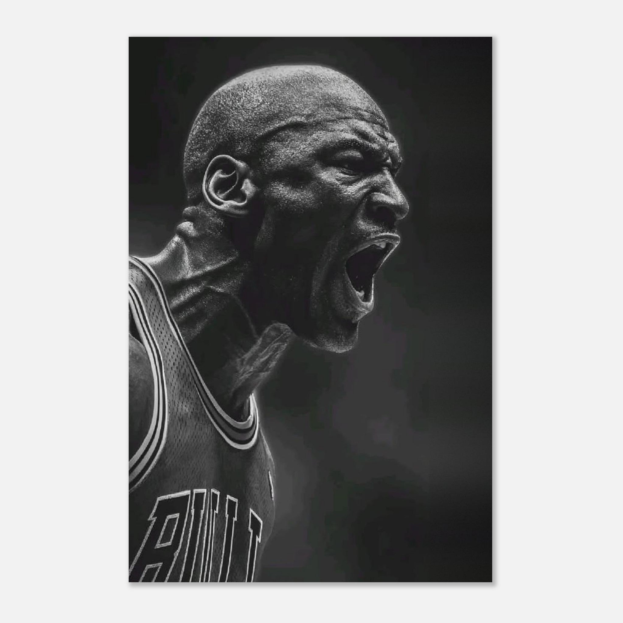 Michael Jordan Chicago Bulls