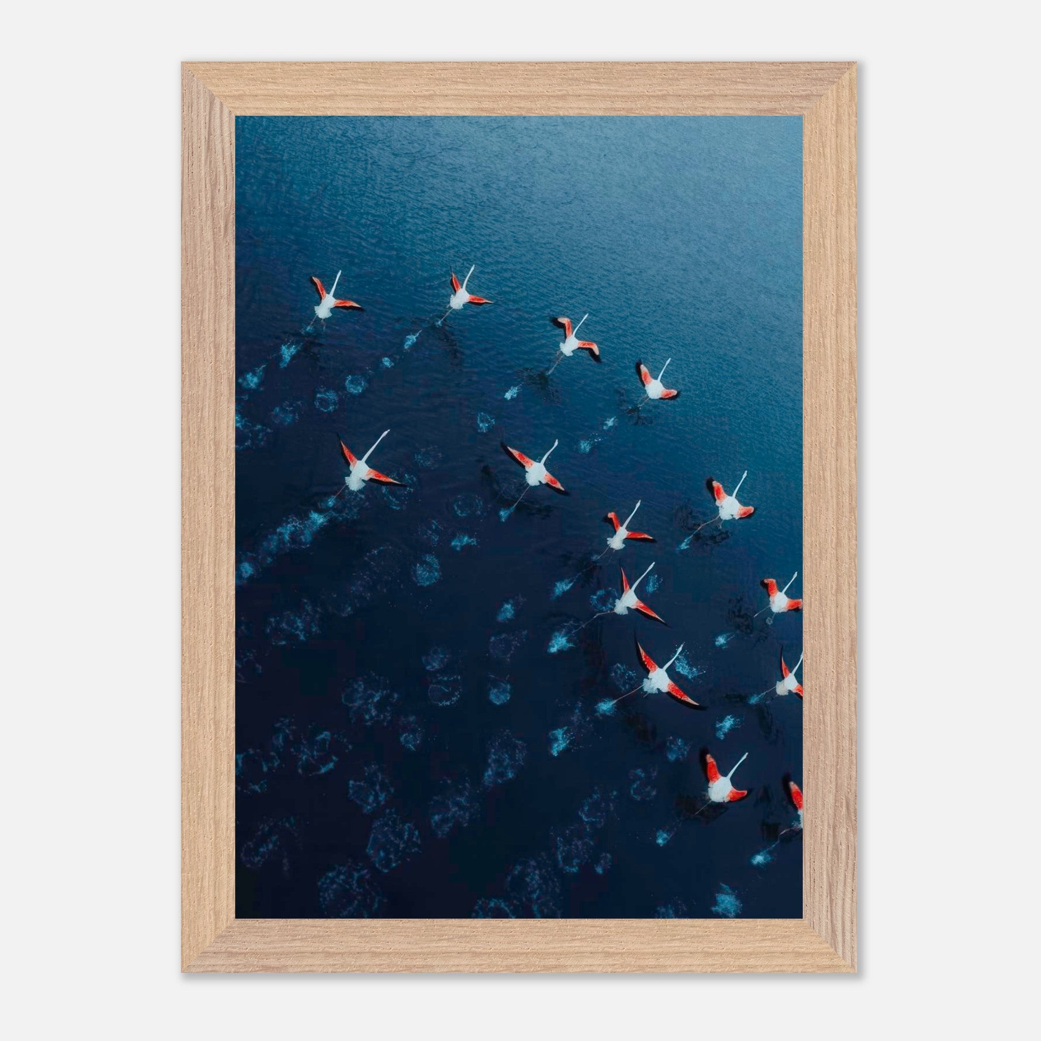 Flamingos drone photography vintage framed print showcasing a flock of pink flamingos over blue waters.