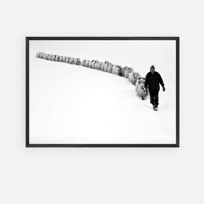 Black-and-white fine art print of a shepherd walking in snow with his flock, showcasing resilience and nature's beauty.