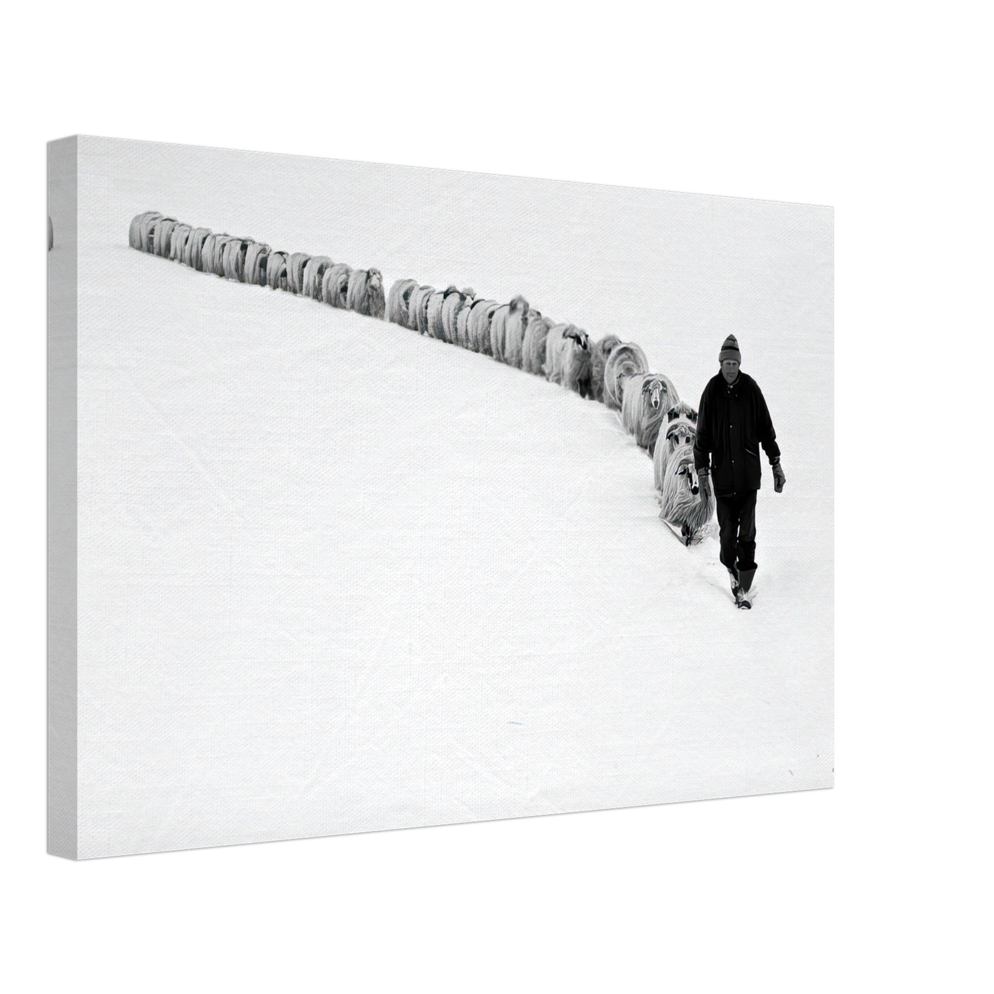 A shepherd walking with a flock of sheep in a serene, snow-covered landscape, captured in black-and-white.