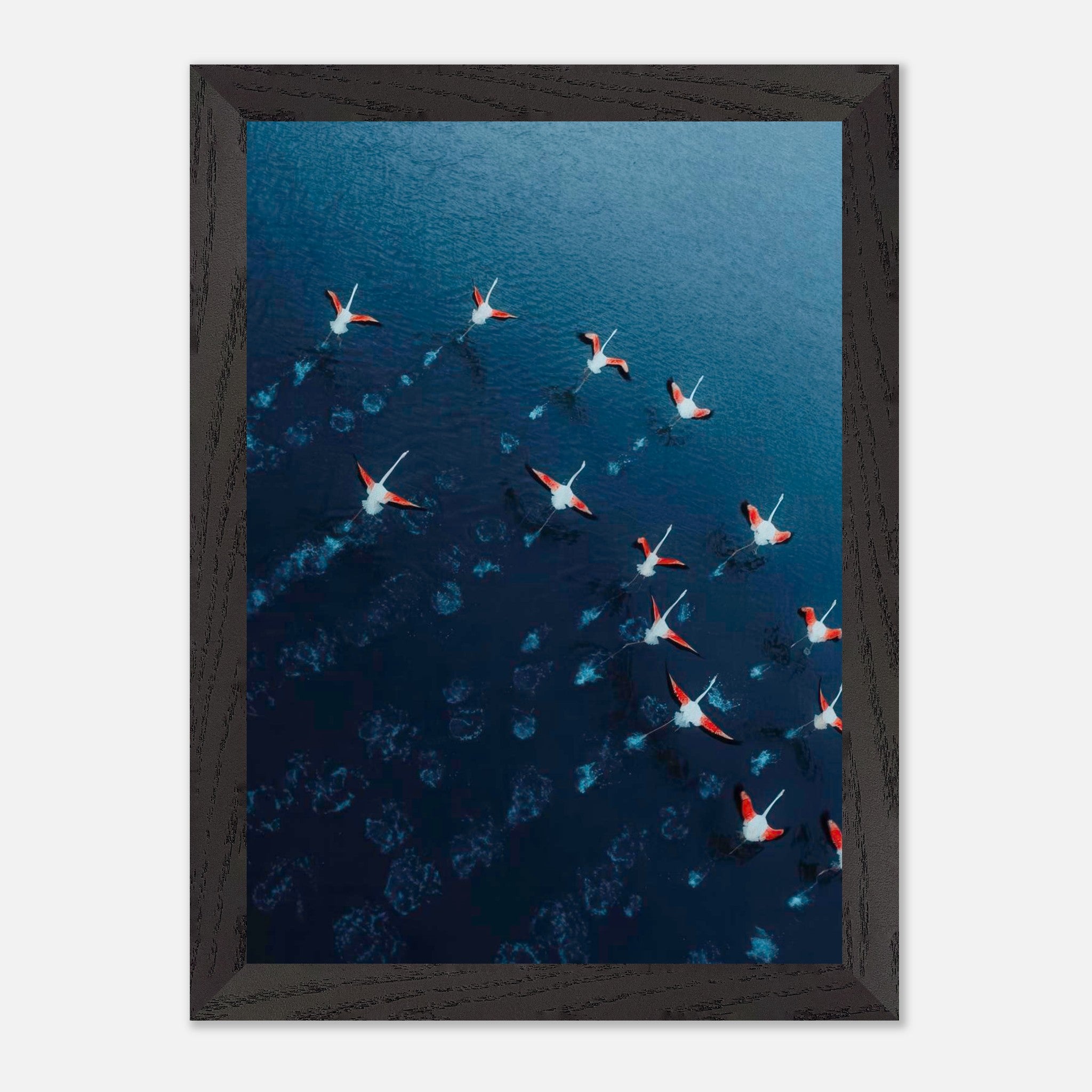Aerial view of a flock of pink flamingos flying over deep blue waters in a vintage frame.