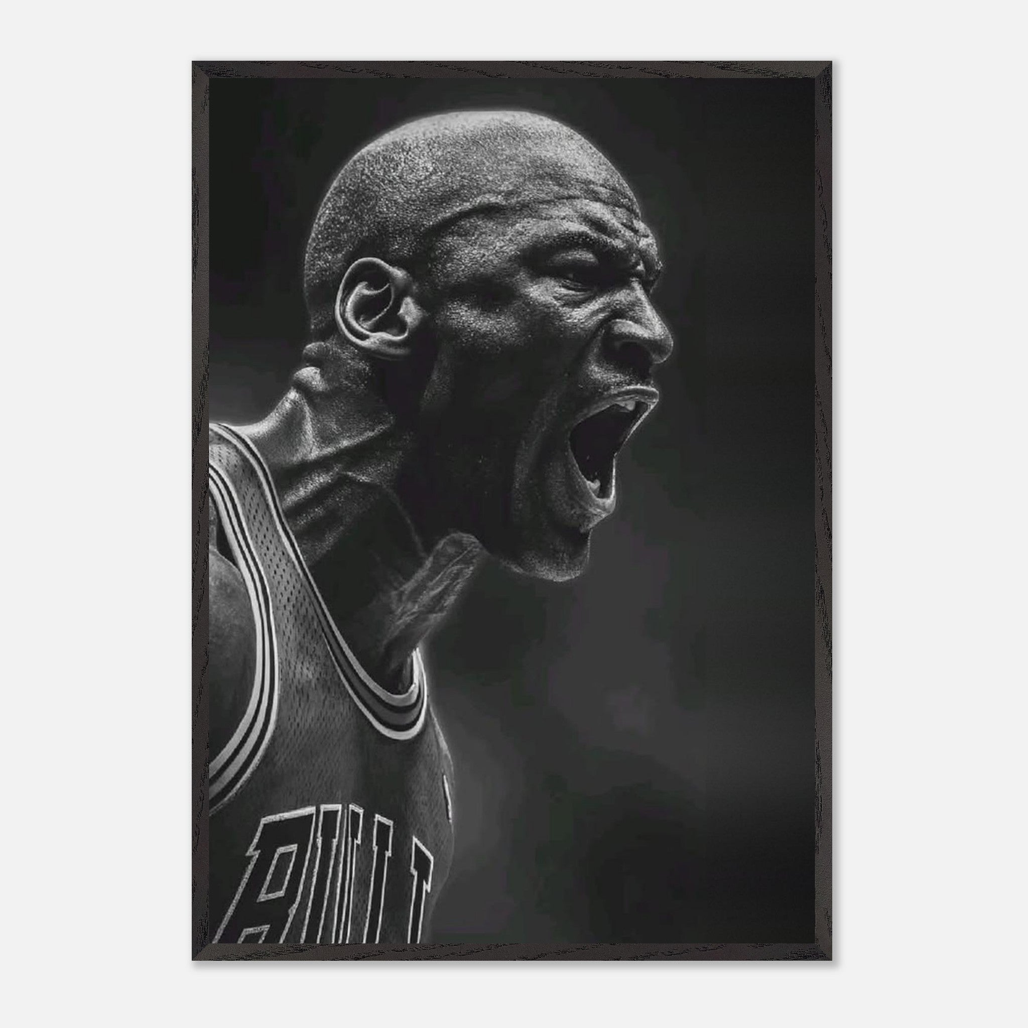 Michael Jordan Chicago Bulls