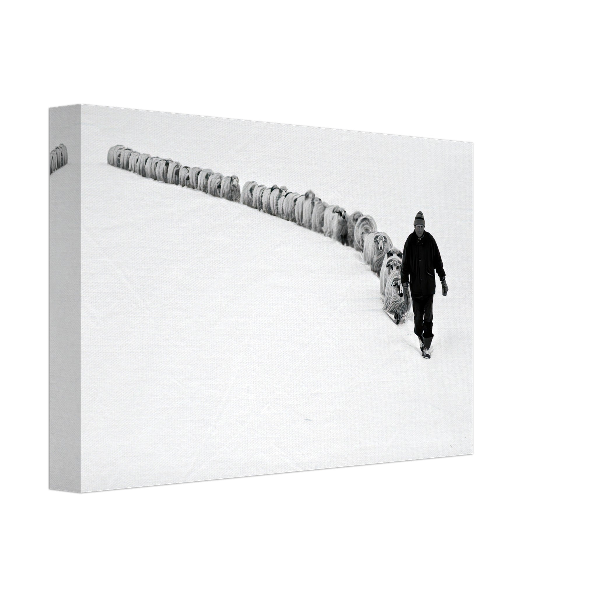 A shepherd walking through a snow-covered landscape, guiding a flock of sheep in a black-and-white canvas print.