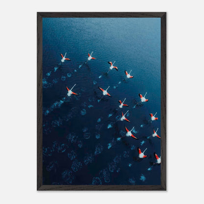 Aerial view of flamingos in motion over deep azure waters, showcasing vibrant pink and red hues in fine art photography.