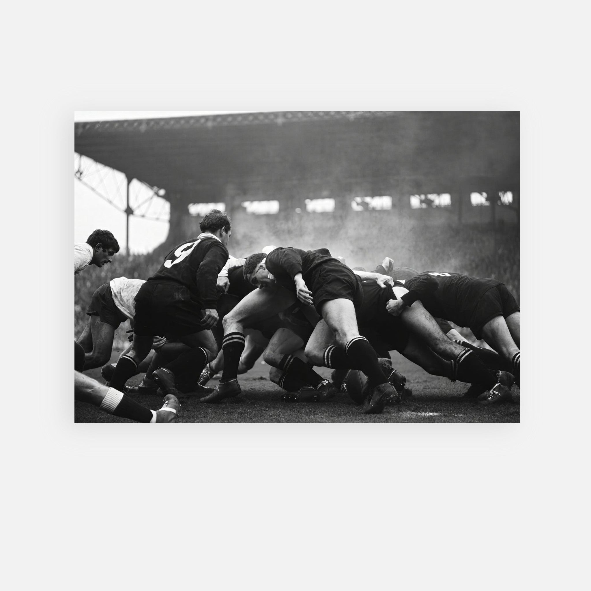 France vs New Zealand Rugby 1967