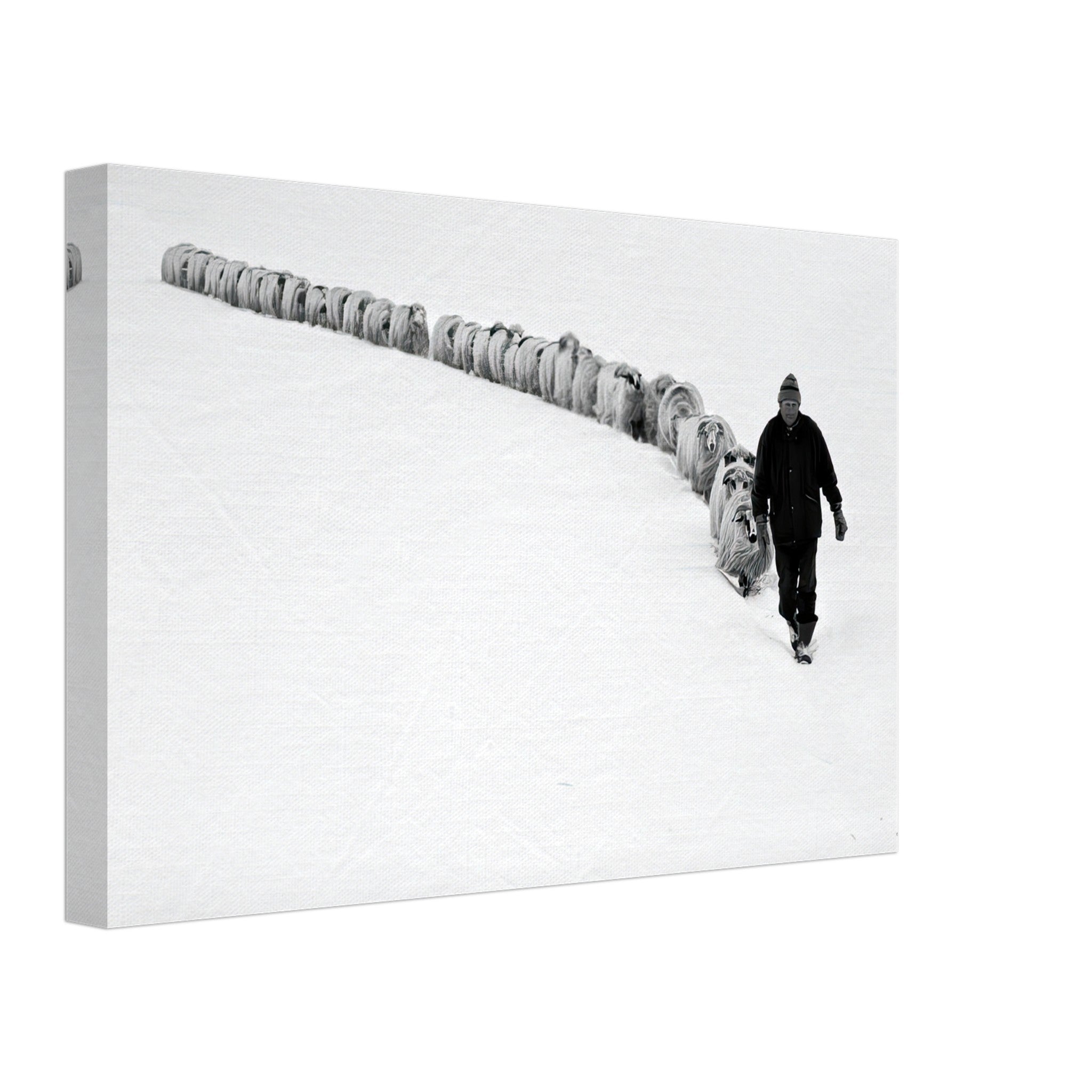 Black-and-white canvas print of a shepherd walking with his flock in a snow-covered landscape.