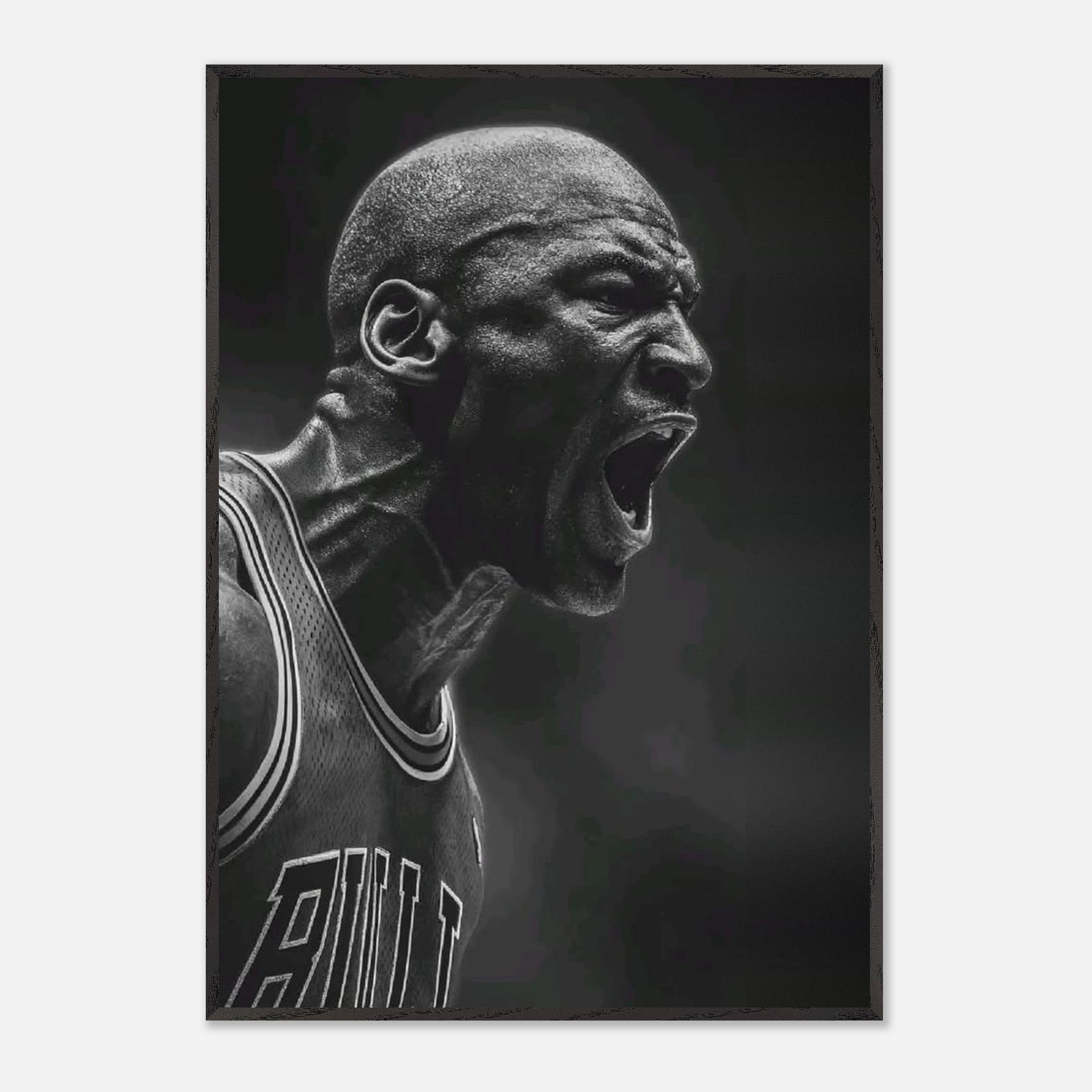 Michael Jordan Chicago Bulls