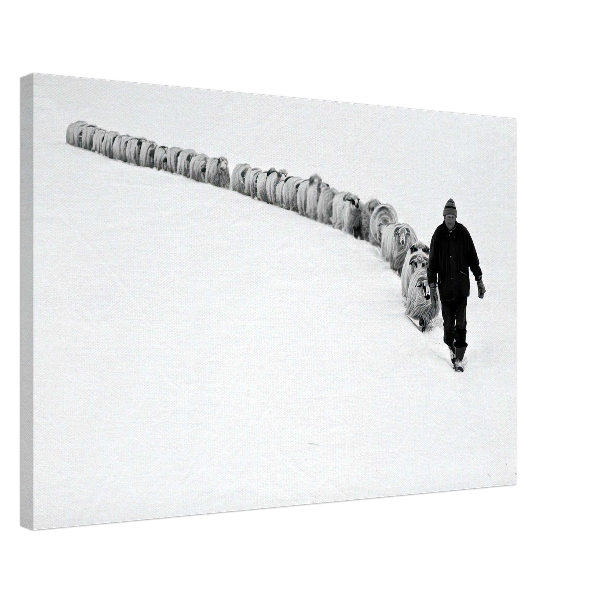 Black-and-white canvas print of a shepherd guiding sheep through a snowy landscape, showcasing rural life.