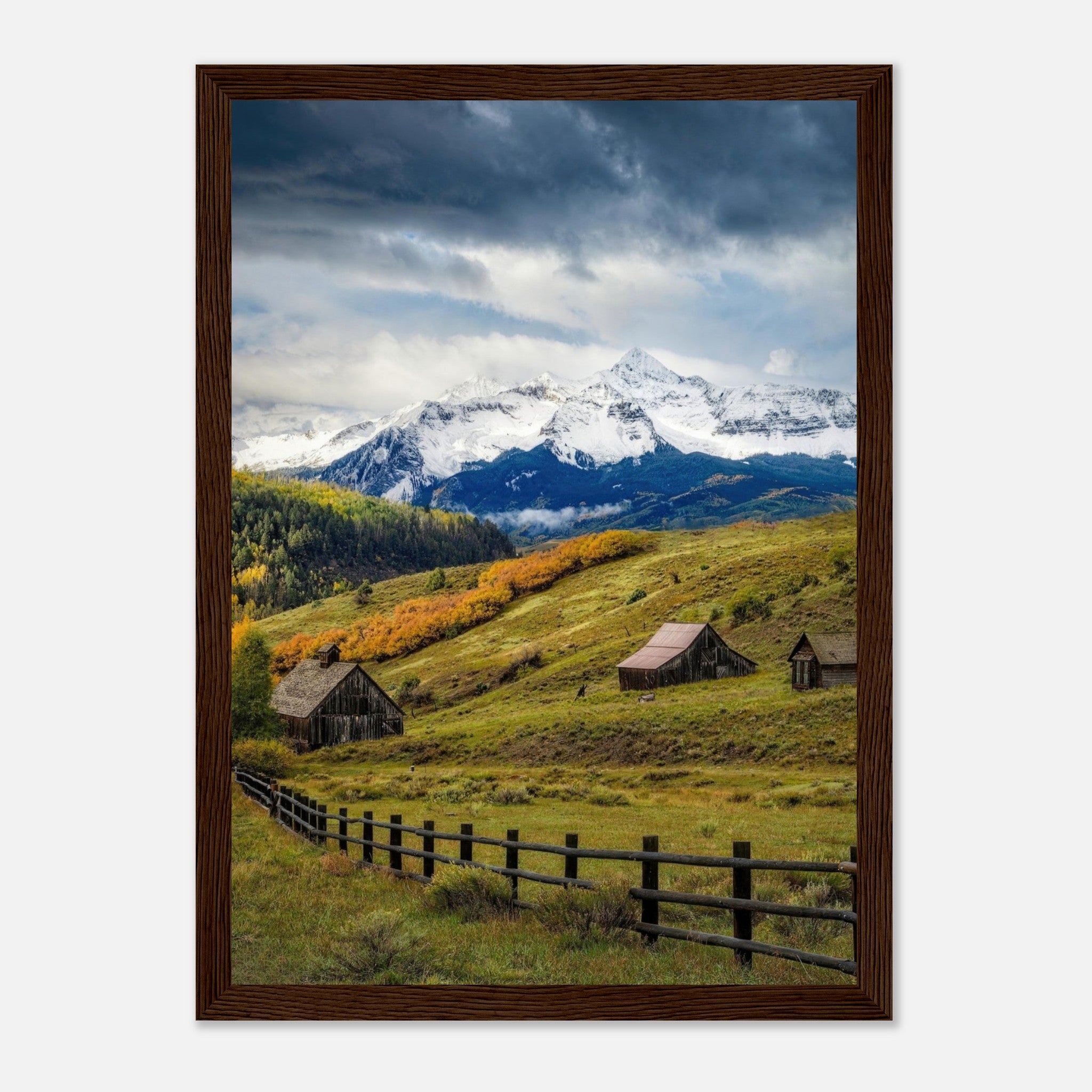 Telluride Colorado framed print showcasing rustic barns against majestic snow-capped mountains and vibrant meadows.