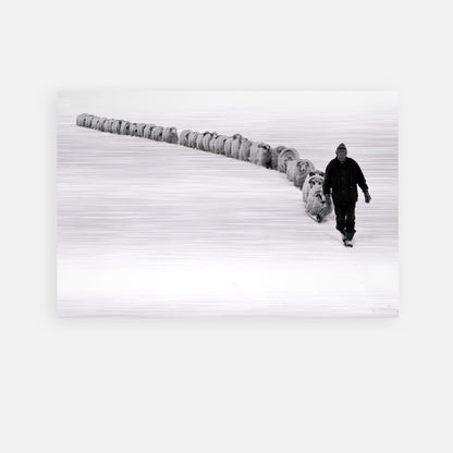 The Shepherd's Trail Brushed Metal artwork of a shepherd leading sheep through a snow-covered landscape.