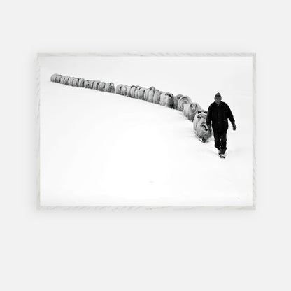 Black-and-white fine art print of a shepherd walking with his flock in a snowy landscape.