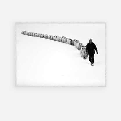 Black-and-white fine art print of a shepherd leading a flock through a snowy landscape, capturing resilience and tradition.