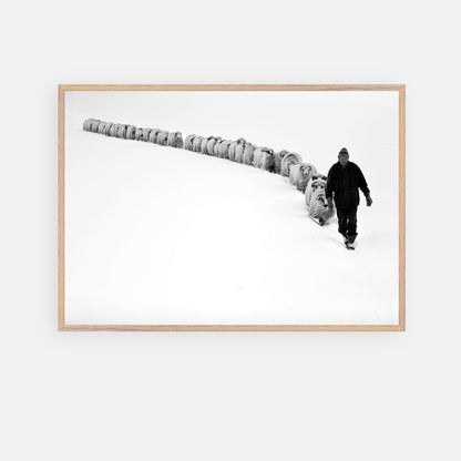 Black and white photograph of a shepherd guiding sheep through a snow-covered landscape in a vintage frame.