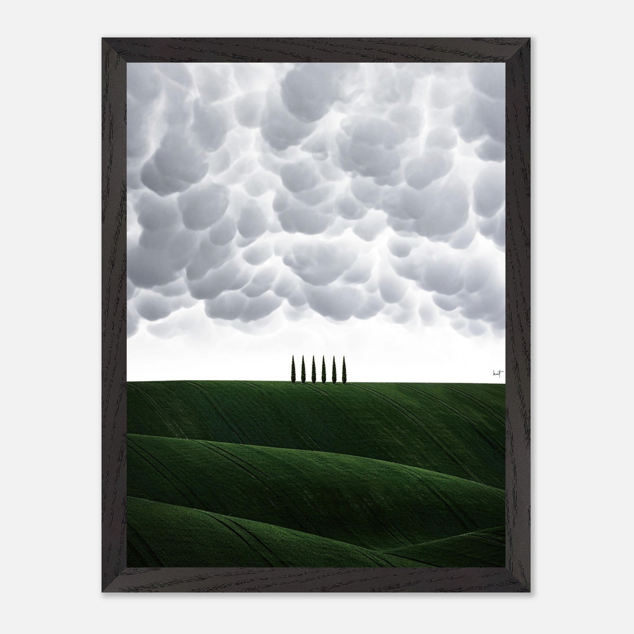 Toscana vintage framed art depicting Tuscany's rolling hills and cypress trees under a dramatic sky.