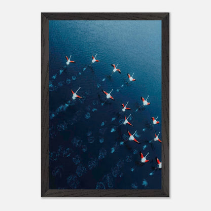 Aerial view of flamingos gliding across deep blue waters in a stunning fine art print.
