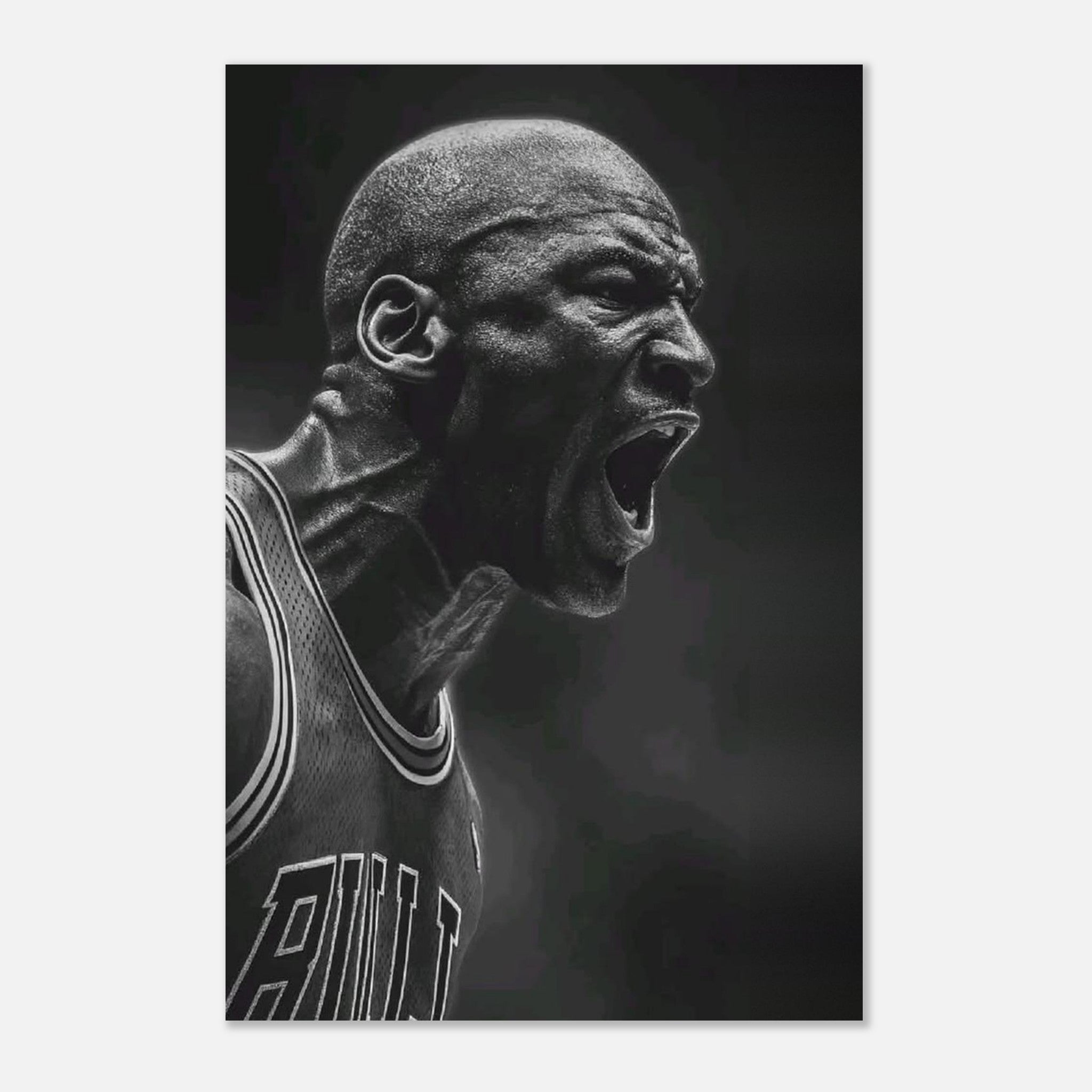 Michael Jordan Chicago Bulls
