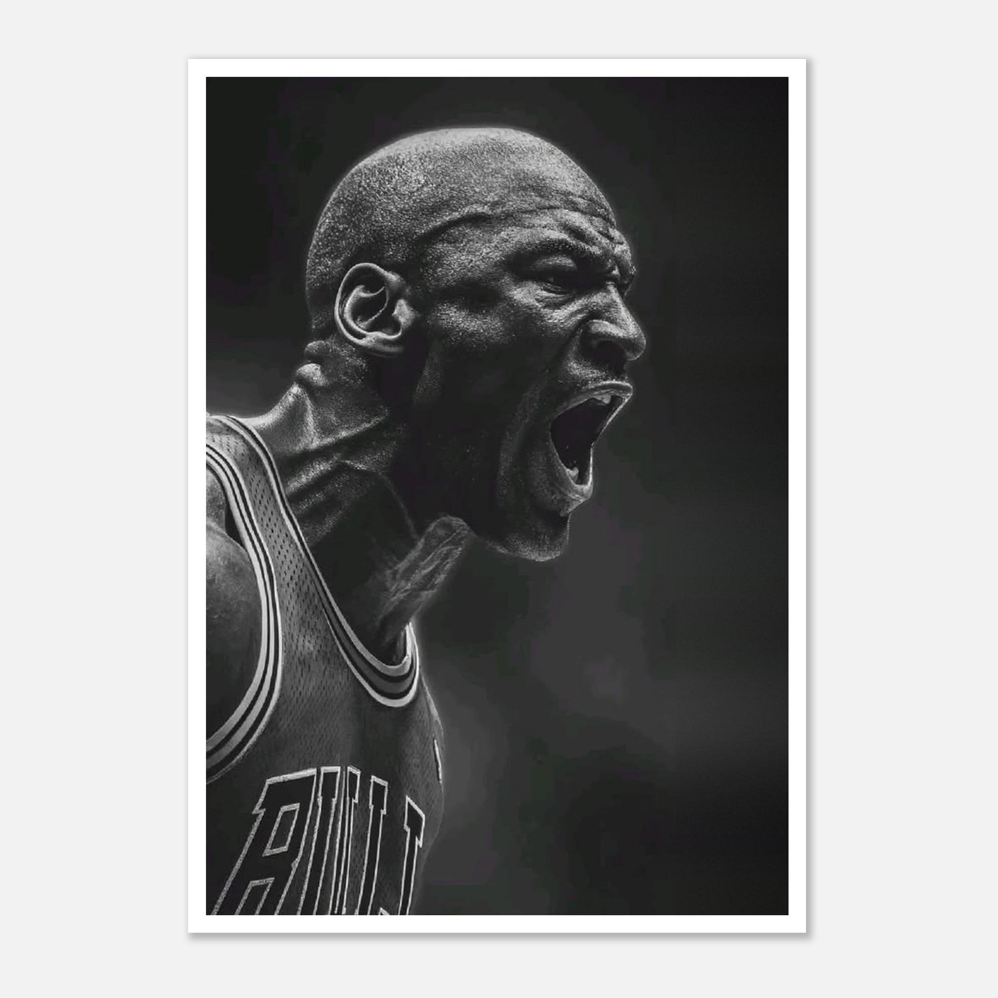 Michael Jordan Chicago Bulls