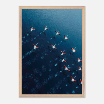 Aerial view of a flock of flamingos in flight over deep blue waters, framed vintage print.